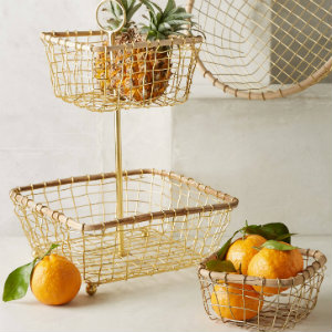 anthropologie