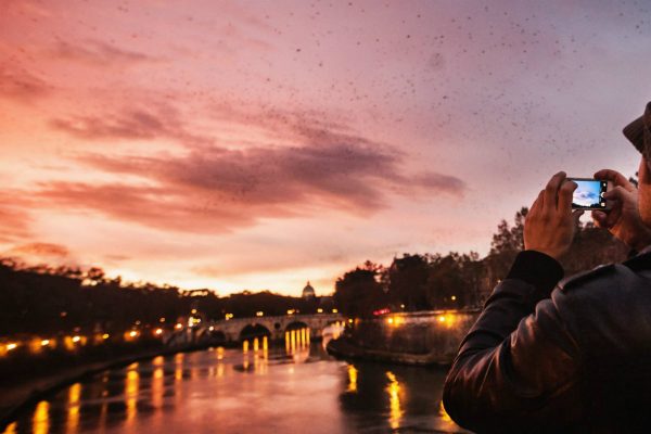 travel foto