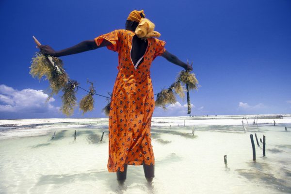 zanzibar 3