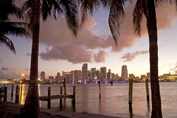 the illuminated Skyline of Downtown Miami,  Florida, USA