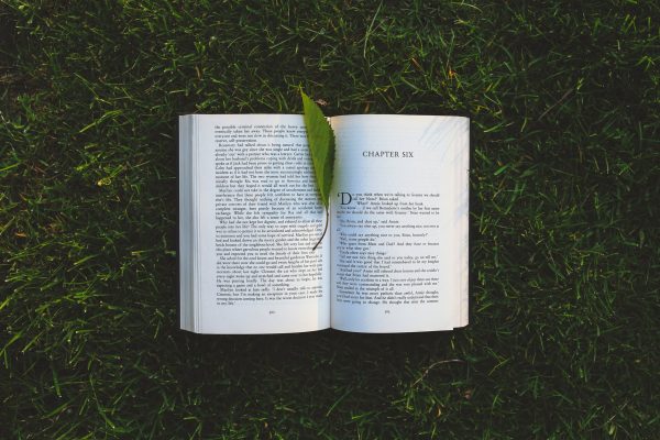 nature-grass-leaf-green