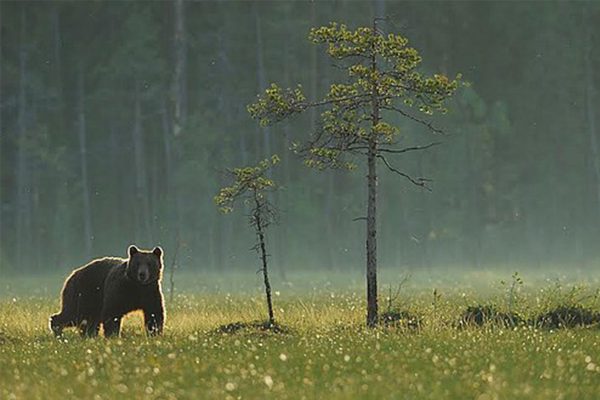 turism romania