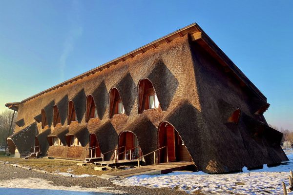 1.Cuibul-de-lemn-min (1)