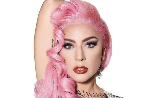 lady gaga stupid love