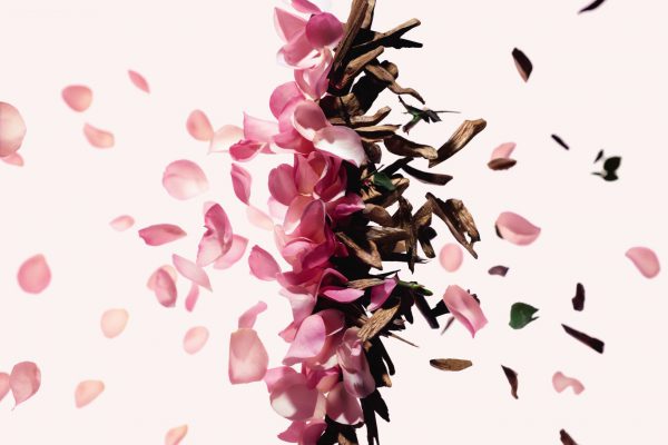 slife_irresistible_ingredient_inter_2019_cmjn_123228