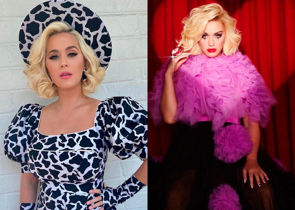 katy perry vegana