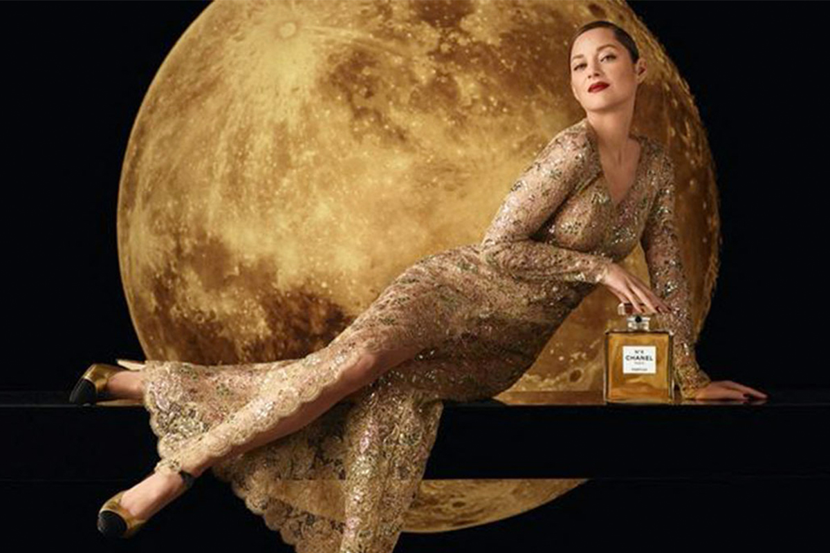 celebrity by chanel