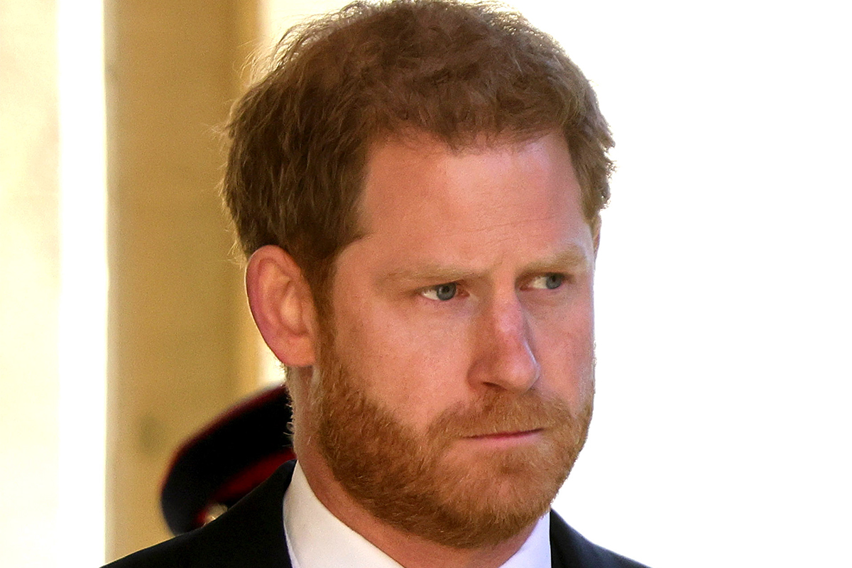 printul harry memorii
