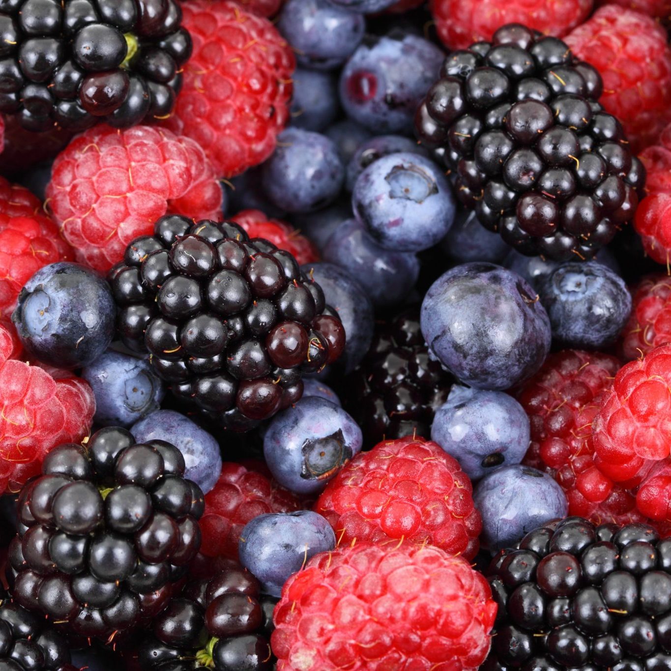 background-berries-berry-blackberries-87818 background-berries-berry-blackberries-87818